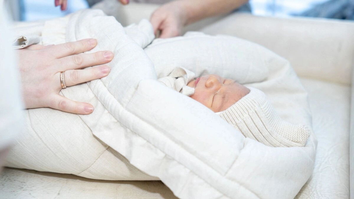    Фото: Федор Воронов/«Ямал-Медиа»