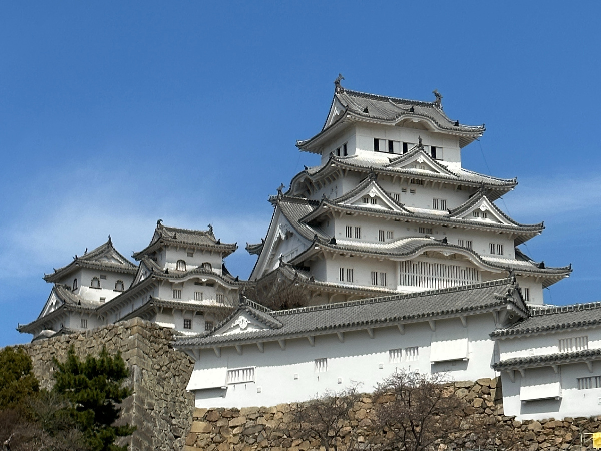 "Белая Цапля"