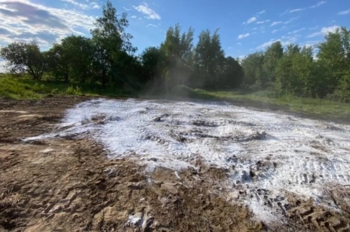    16 скотомогильников планируют ликвидировать в Калужской области за 2026 год