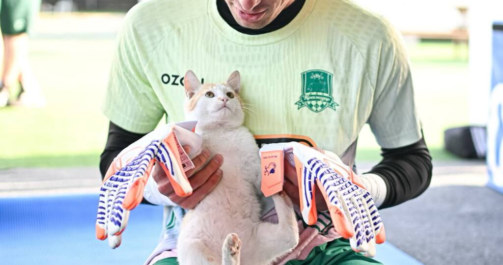 Статься заслуживающая твоего лайка 😍