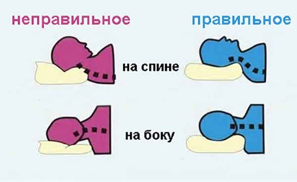 Изображение взято из открытого источника 