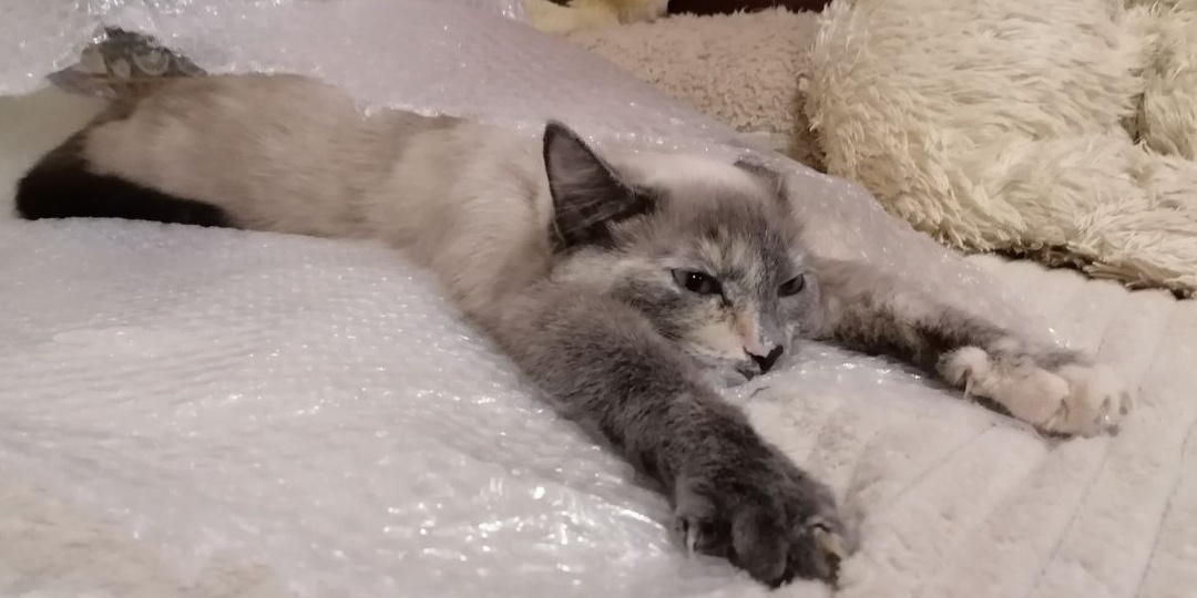 А теперь про подарки и про финал одной очень доброй сказки