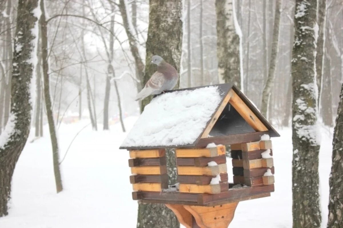    В Туле 4 февраля ожидается переменная облачность и до -17℃