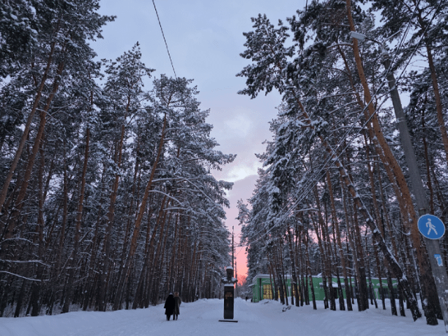 Розовый закат). Сквер Маршала Жукова. Монгора. Сызрань. 