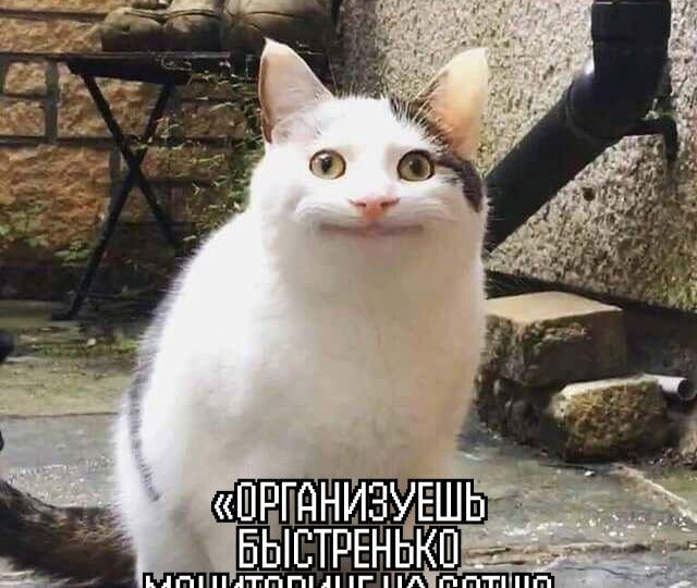 Артефакт №5