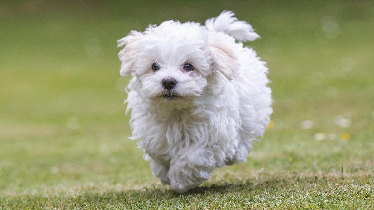 Фото: Jürgen Kosten/globallookpress.com