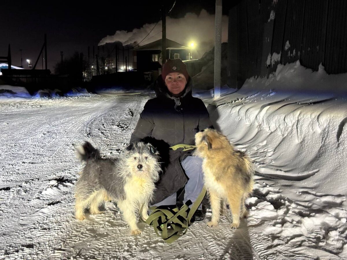 Чип и Дейл перед дальней дорогой. 