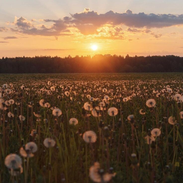 #романтика #деревня #любовь #кузнец