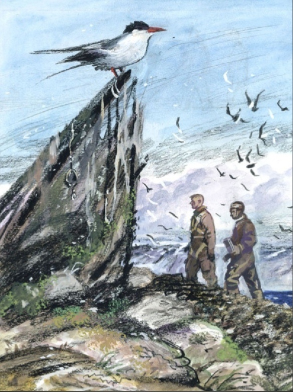 Иллюстрации к роману "Два капитана", автор - Петр Любавин