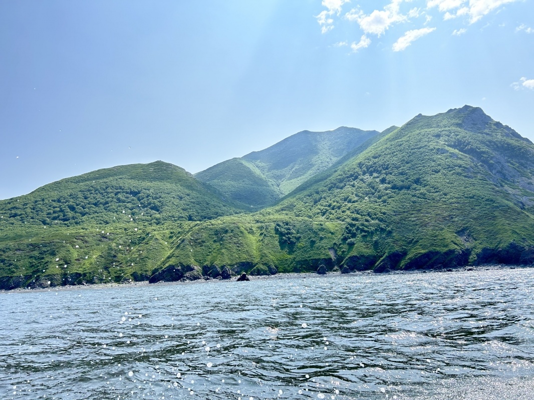 Общественное достояние.