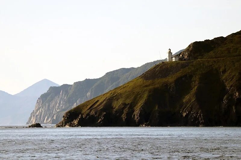 Общественное достояние.