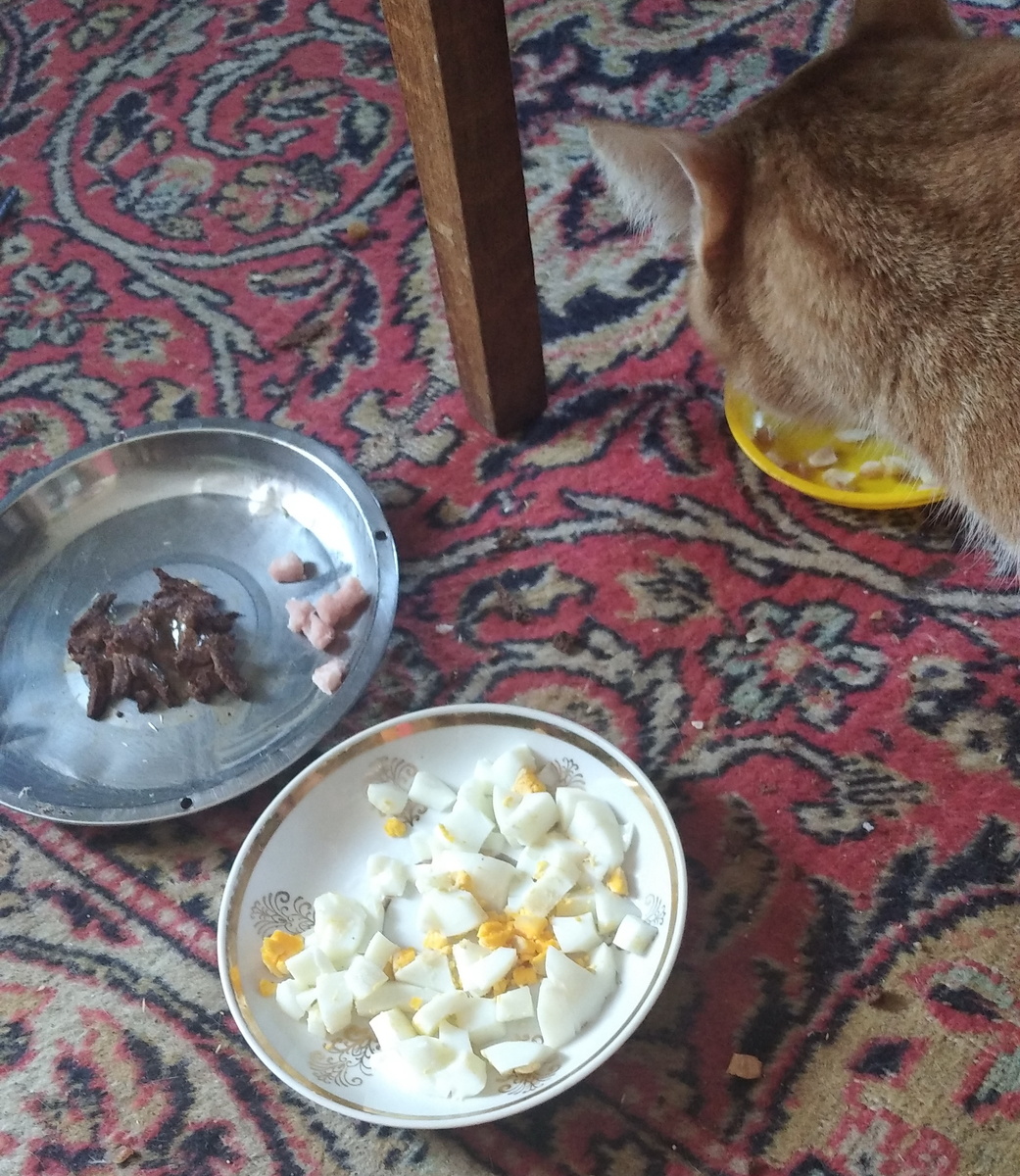 личное фото