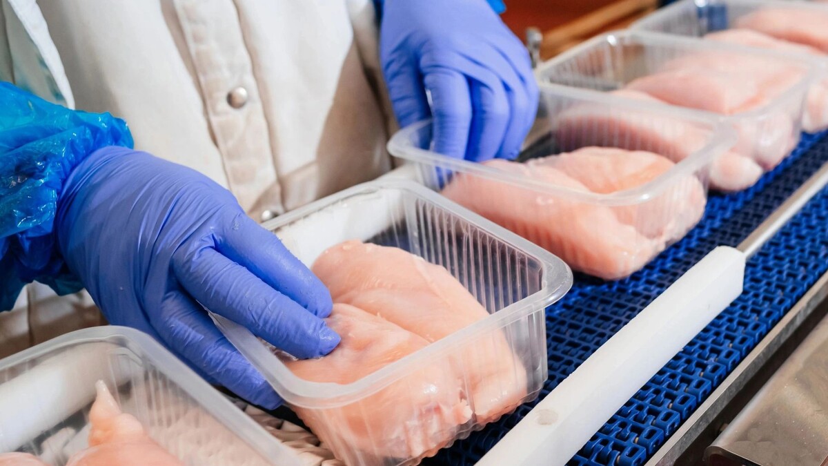    Фото: Nataliia Maksymenko/Shutterstock/Fotodom