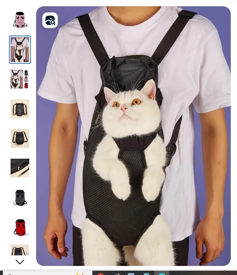 Фото из интернета