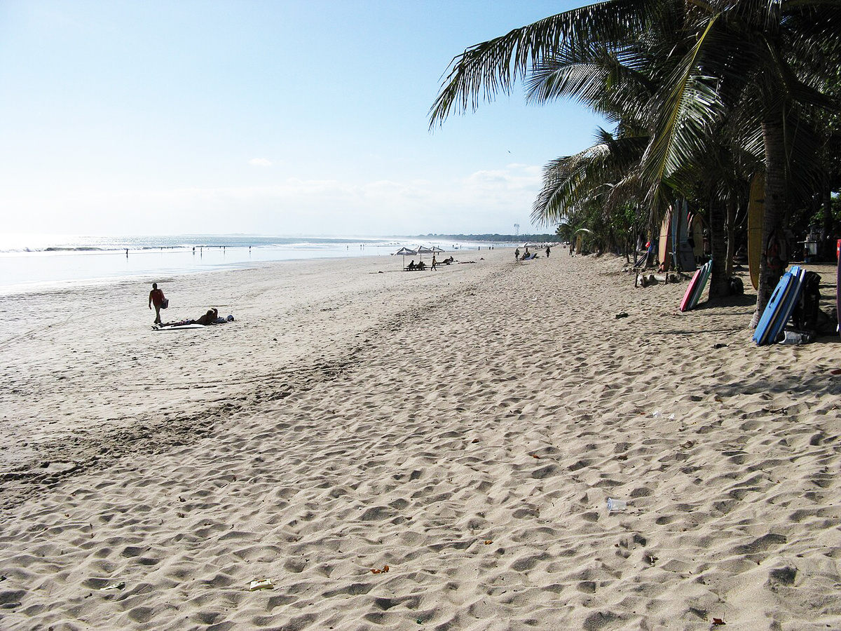 Автор фото: Porcinno Rondus. Источник: Wikimedia