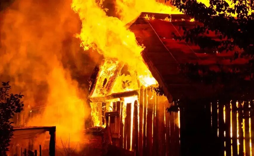    Источник фото: yamal-media.ru