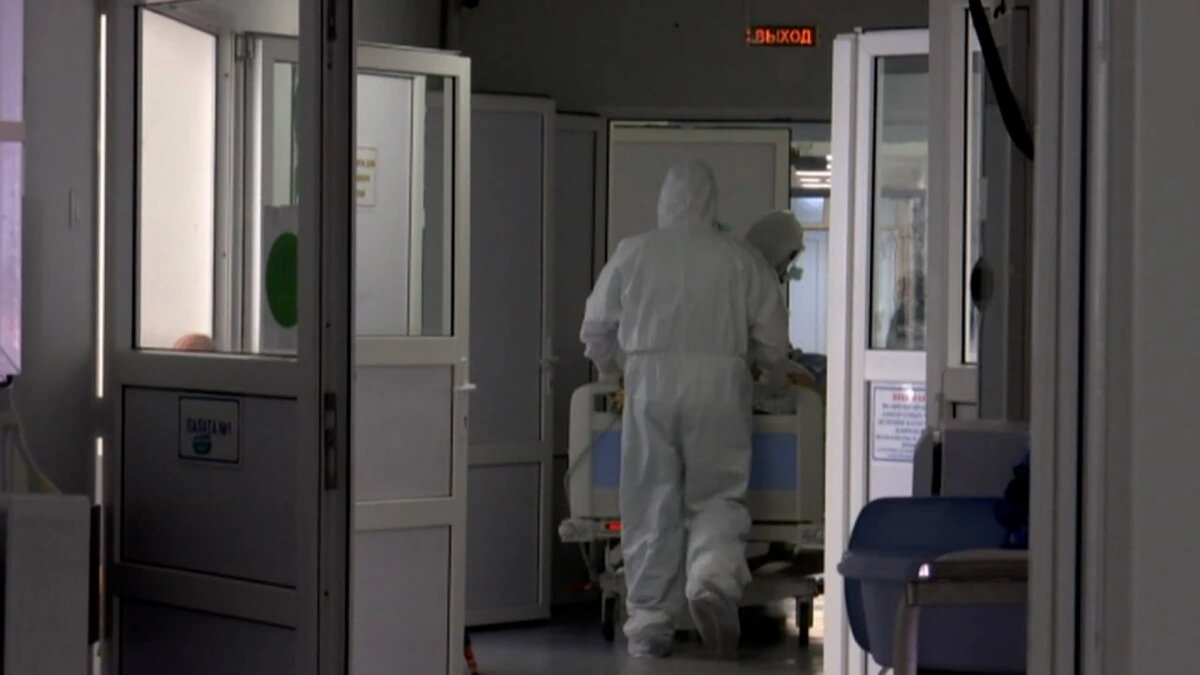    Скриншот видео телеканала «Кубань 24»