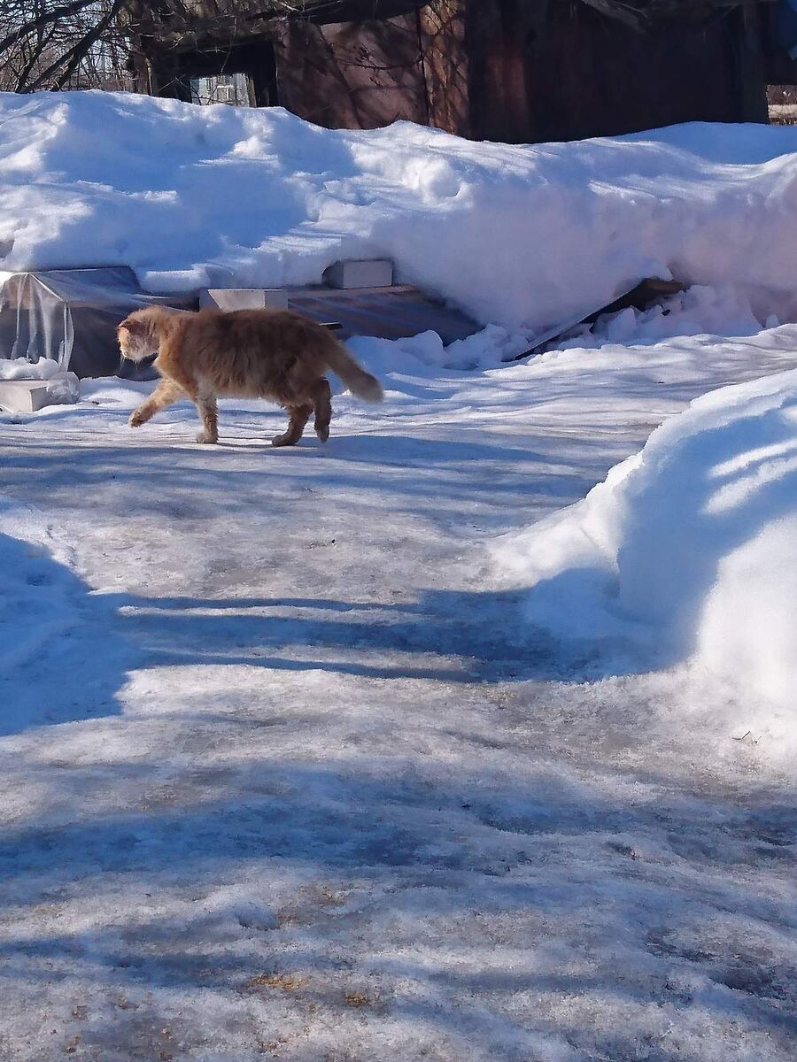 Василий идёт проверить как идут работы