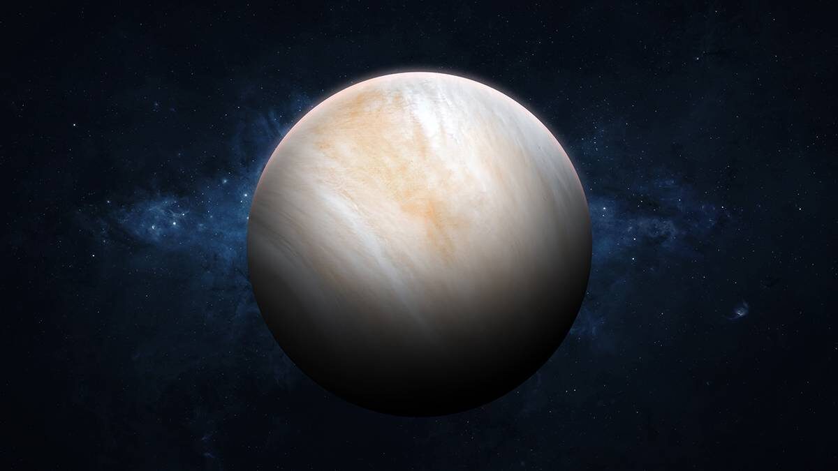    Фото: Shutterstock