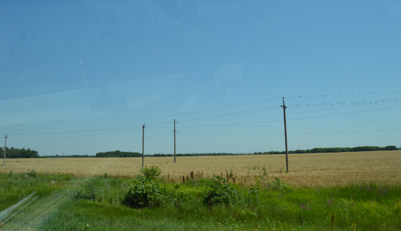 Фото автора. 