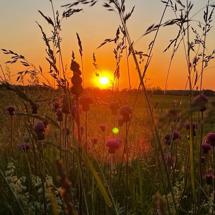 #любовь #деревня #романтика #кузнец #ревность