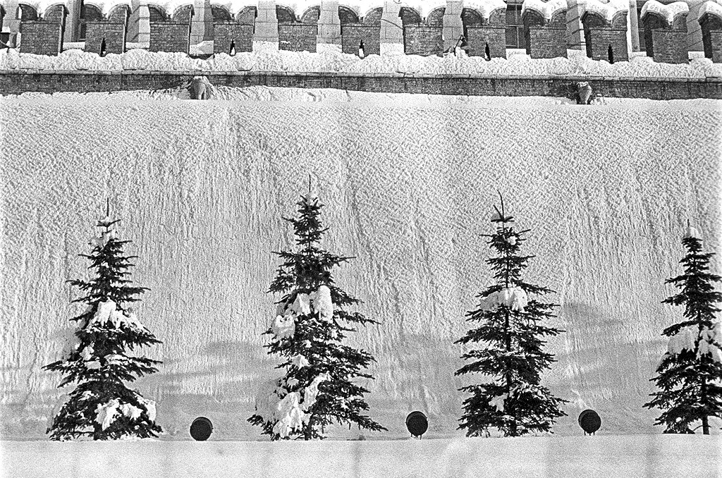 Борис Косарев/Семейный архив Марии Косаревой