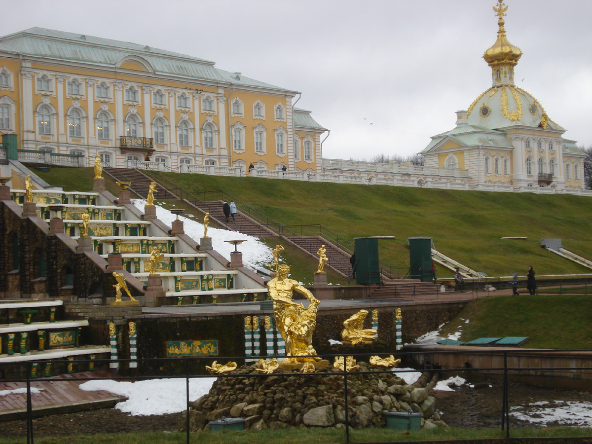 Февраль 2025 года ездили белок кормить