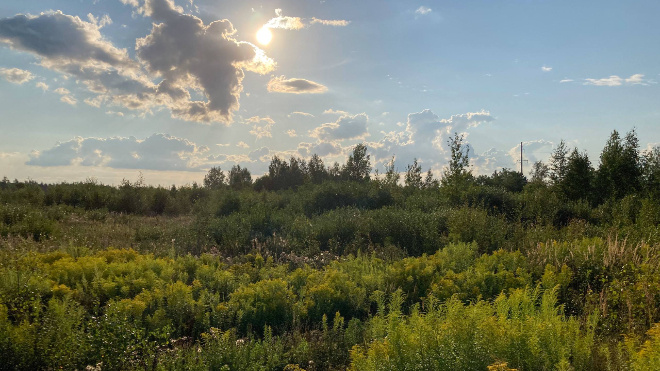 Фото: 47channel / Нина Вересова