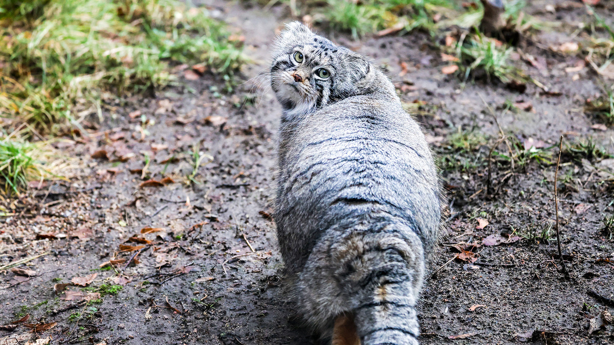 Владимир Гердо / TASS