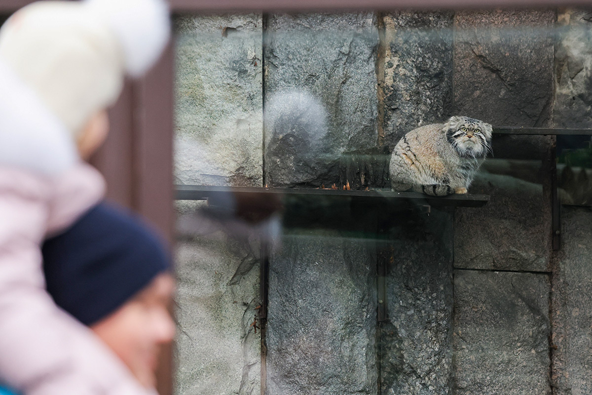 Владимир Гердо / TASS