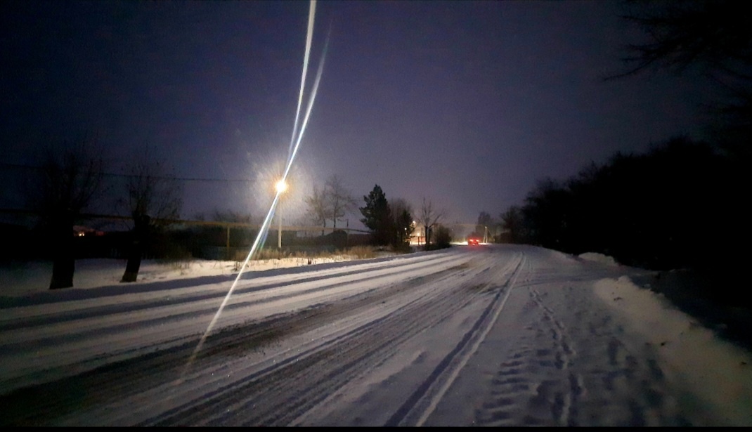 Вчера утром фотографировала 