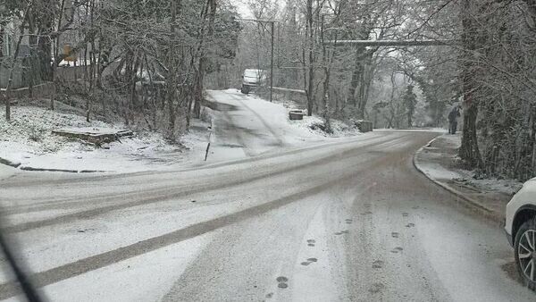    © Telegram-канал главы администрации Ялты Янины Павленко