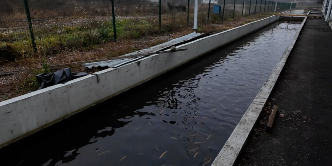 Фермы канального типа