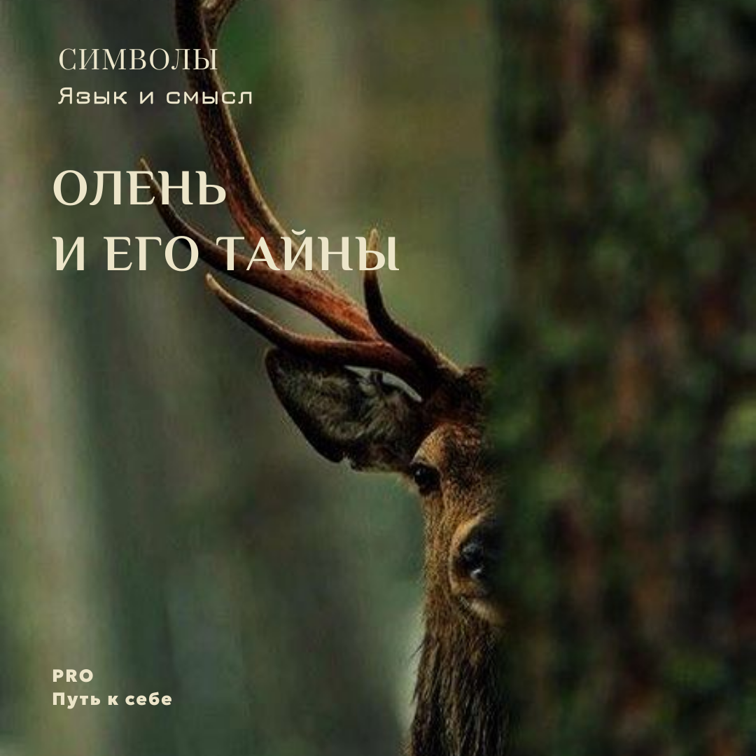 Символы: язык и смысл