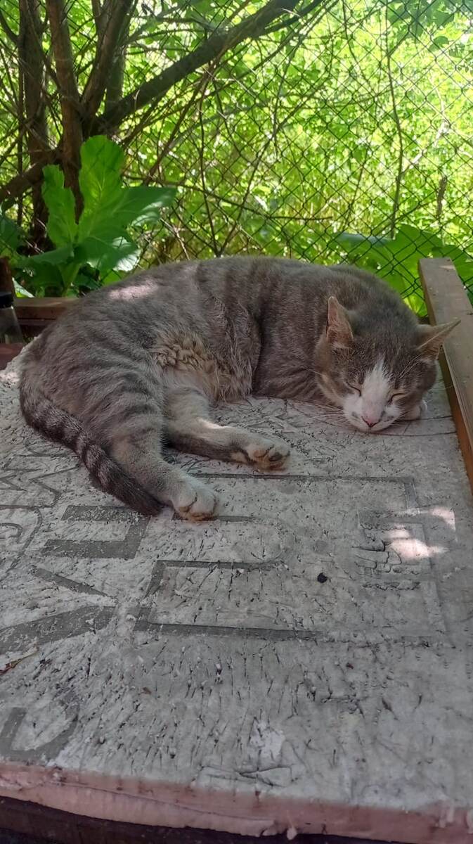 За несколько мгновений до....