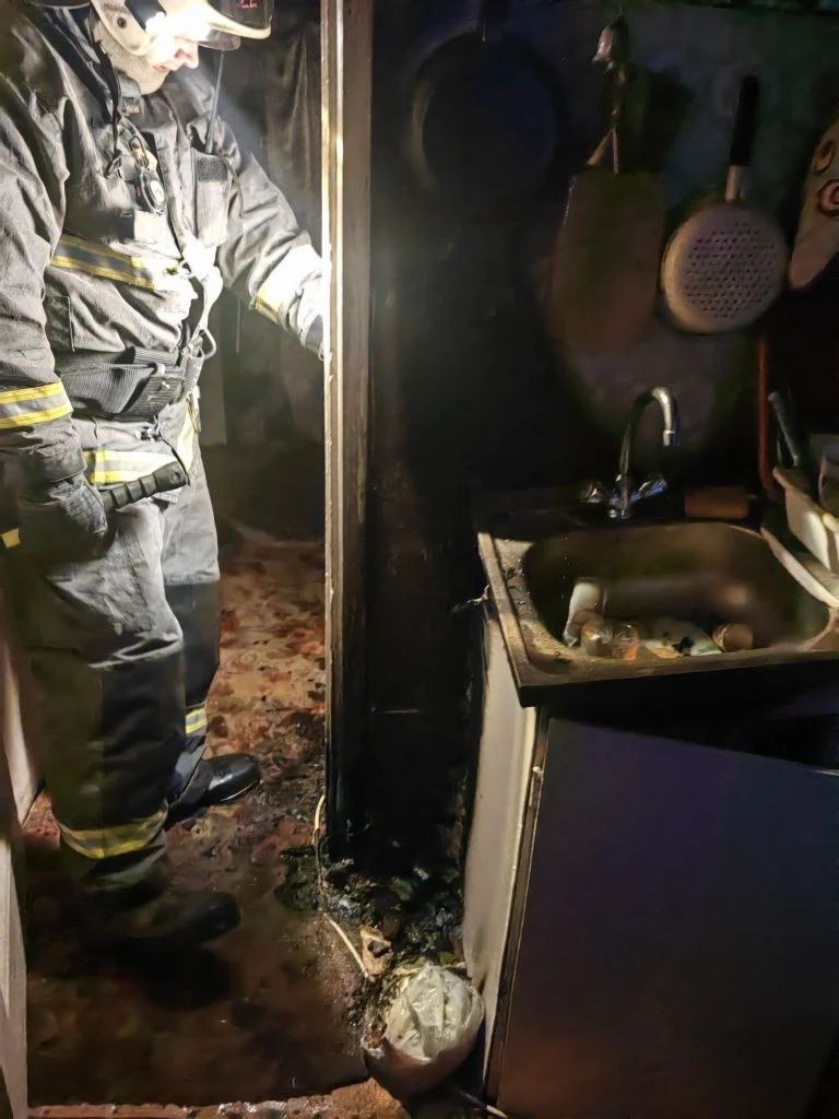    Фото: Госкомитет Карелии по ОЖ и БН