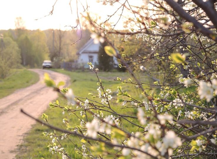 Дом на краю.