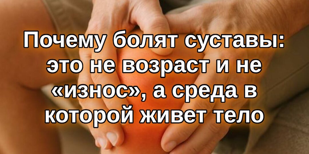 Почему болят суставы: это не возраст и не «износ», а среда, в которой живёт тело