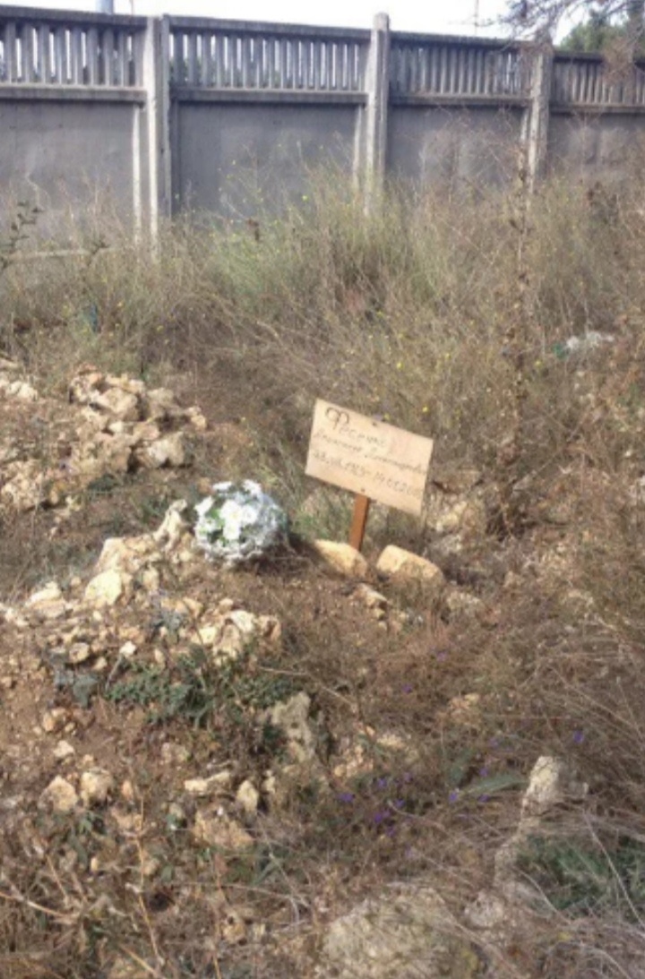 Фото со свободного доступа в интернете.