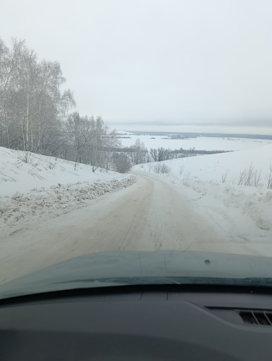 Спуск к Придорожному (Васильевскому) роднику. 