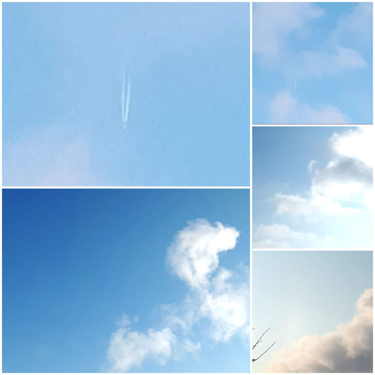 Коллаж автора 03.02.2026г.