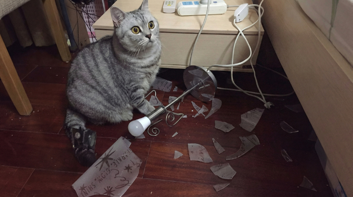 Ё-маё, а я ведь уже использовал на этой неделе все отмазки! 