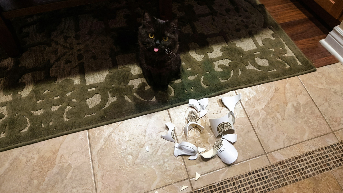 А я вот не удрал... И что ты мне сделаешь? ЕЩЕ фото --->>