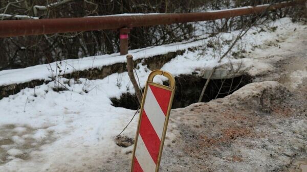    © Telegram Галина Огнева