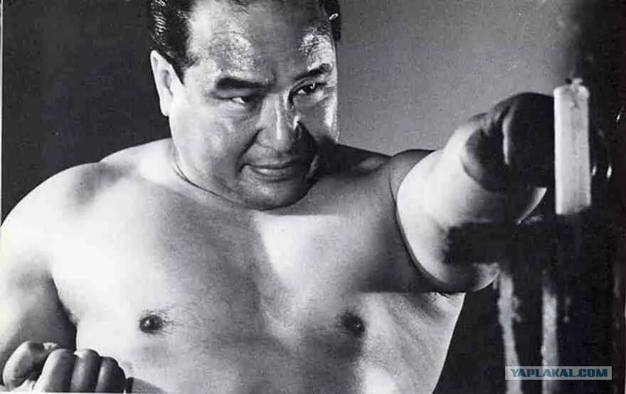 Масутацу Ояма, как классический представитель стиля "Молодой Тигр", так как он изучал произошедший от "Молодого Тигра" - стиль "Шото-Кан"