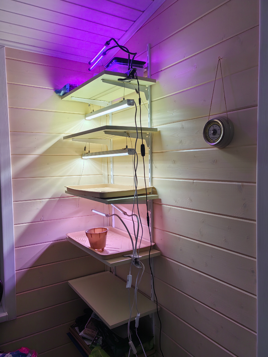 Фото делала вечером для наглядности. Сравните! 