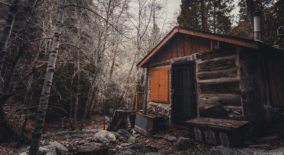 Почему Пашка перестал по грибы ходить