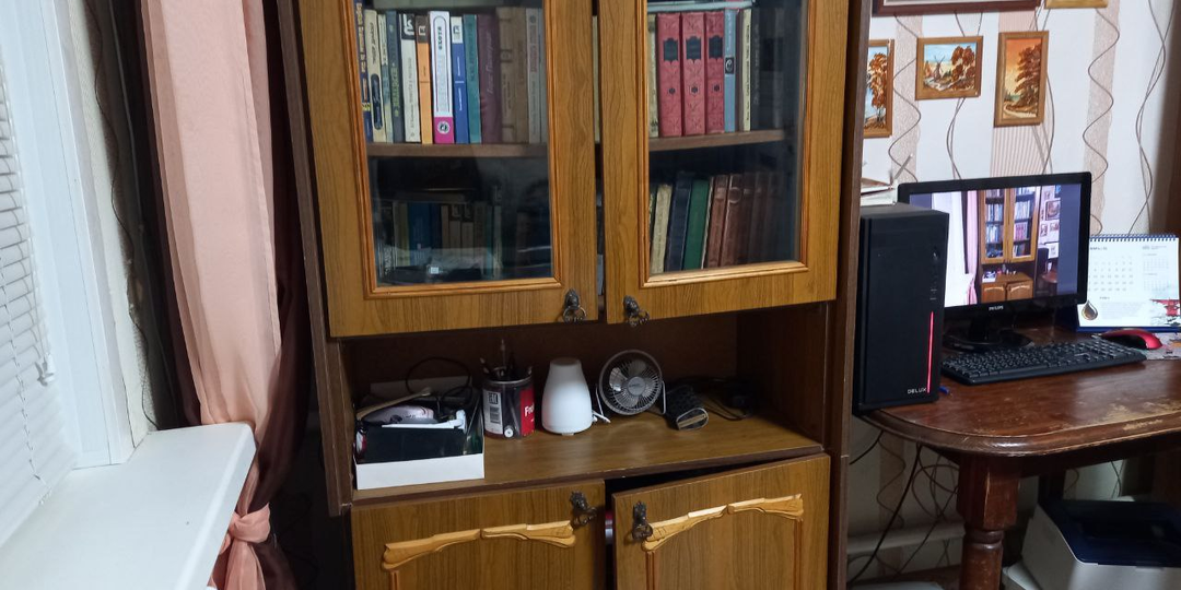 Финансовый отчёт за январь, или О том, как пенсионерка донаты на шкафы собирала