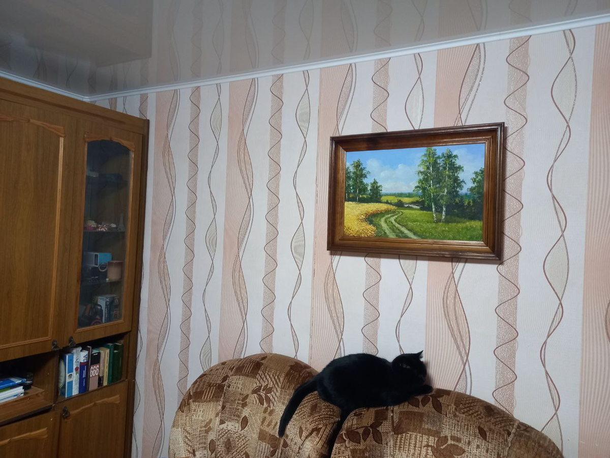 Шкафы потихоньку разгружаю. Освобождаю. Кусик на своём любимом месте.