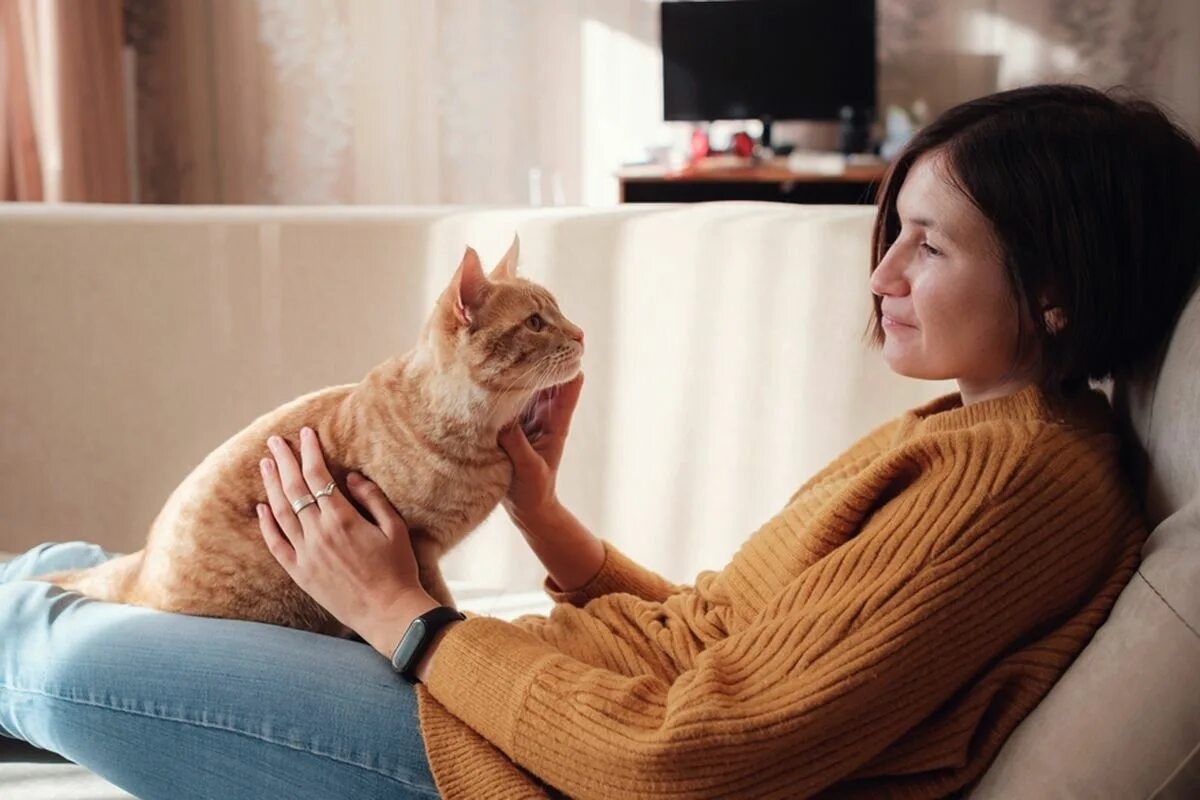 Фото с сайта: https://www.kompas.com/homey/read/2021/07/10/171116976/4-perilaku-manusia-yang-membuat-kucing-bahagia?page=all&jxrecoid=1cf5ae09-92f7-4039-8710-125aef38e715~mix_kompas&source=widgetML&engine=V